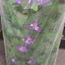 Sumery Expandable Fence Privacy Screen for Balcony Patio Outdoor,Decorative Faux Ivy Fencing Panel,Artificial Hedges (Single Sided Leaves) (2, Purple Flowers)
