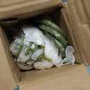 6 Pcs Artificial Forsythia Branches Fake Wildflowers White 41" Silk Flowers with Long Stems Faux Spring Flowers for Tall Vase Indoor Home Decor Dining Table Centerpieces Party Wedding Outdoor