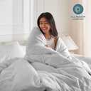 Bare Home Bedding Duvet Cover Queen Size - Premium 1800 Super Soft Collection - Lightweight, Cooling - Soft Breathable Bedding Duvet Cover (Queen, Cloud Grey)