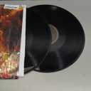 The Rise And Fall Of A Midwest Princess [2 LP], Disc