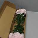 Fqueelvys 16PCS Pink Carnations Artificial Flowers 14.8'' Fake Carnation Silk Flowers with Single Stem Faux Carnations Flowers for Home Table Centerpiece Wedding Decor Floral Arrangements (Light Pink)