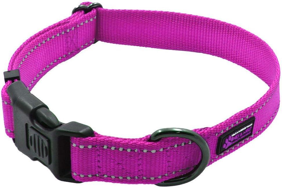 Max and Neo NEO Nylon Buckle Reflective Dog Collar - We Donate a Collar to a Dog Rescue for Every Collar Sold (Large, Pink)