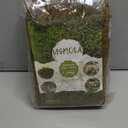 Artificial Moss for Indoor Plants, 16OZ Fake Moss for Crafts, Decorative Centerpieces, Fairy Garden, Wedding Party Decor, Faux Potted Plants, 455gr (Natural Green)