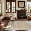 Washable Entryway Small Area Rugs: Door Mat Indoor Entrance 4x6 Boho Rug Stain Resistant Non-Slip Rubber Backing Soft Carpet for Kitchen Front Door Indoor Entrance Entry Bedroom Kids Room (Brown and Grey)