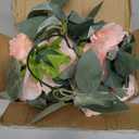 Amazon.com: BMQDSM Pack of 2 Artificial Flowers for Backdrop Decoration, Wedding Arch Flowers,Reception Welcome Sign, Eucalyptus Garland, Suited to Aisle Decor and Wedding Arches(Champagne Pink) : Home & Kitchen