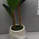 Artificial Fiddle Leaf Fig Tree in Modern White Planter, 5ft Large Fake Tree with 3 Sturdy Trunks, Fake Plants Faux Fig Tree with Moss, Lifelike Tall Artificial Plants Indoor for Office Home Decor