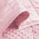 ALANSMA Reversible Weighted Blanket for All Season, Luxury Velvet, Warm and Cool, Adult Kids 5Lb Weighted Blanket, Enjoy Sleeping Anywhere(Pink,36"x48" 5lbs)
