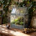 Vintage Glass Terrarium Greenhouse Large House Shape Plant Display Box Planter Container for Fern Moss Cacti Succulents Mordern Tabletop Decor Gardern DIY Kit Gift