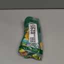 Costa Rica 2025 Making Memories Matching Family Vacation T-Shirt (M, Green)