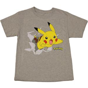 Pokemon Little & Big Boys Pikachu Starters Kanto Jump T-Shirt (Small)