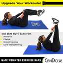CanDo Slim WaTE Bar 3 Piece Set - 1, 2, 3 lbs, Total Body Workout Weighted Exercise Bar for Strength Training, Toning, and Physical Therapy