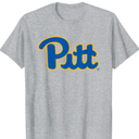 Pittsburgh Panthers Icon Officially Licensed T-shirt, M, Gray