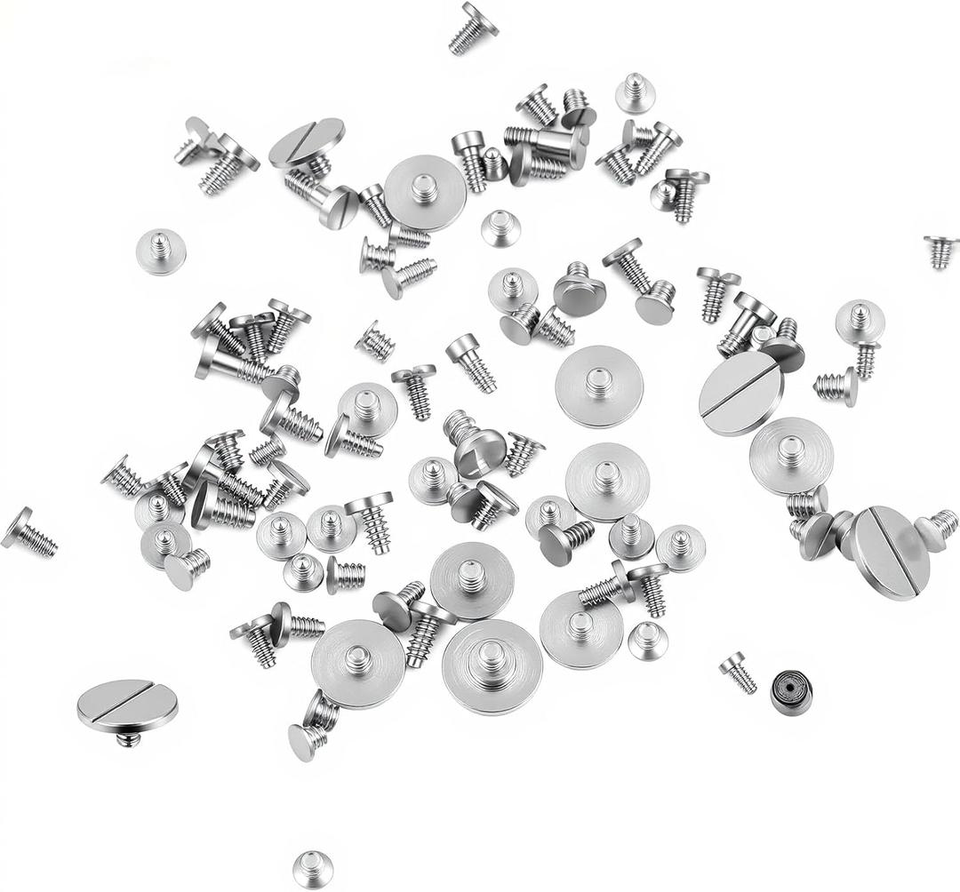 100 Watch Battery Clamp Screw Assortment Kit, Micro Screws Replaces Old Battery Clamp Screws in Watches for Watchmaking and Watch Repair