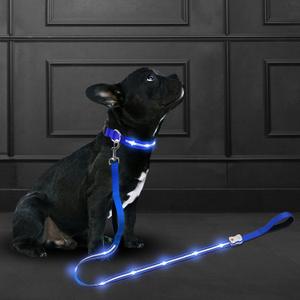 Led Dog Leash Rechargeable Waterproof 1000 ft Night Visibility LED Dog Leash - Padded Double Traffic Handle |10hr Battery Life, USB-C Quick Charging Light | Heavy Duty Durable Quality (Blue)
