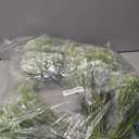 Yunsailing 80 Pcs Baby's Breath Bulk Wedding Artificial Gypsophila Flowers White Green Realistic Fresh Baby's Breath Flowers Gypsophila Bouquet for Wedding DIY Party Home Garden Decoration(White)