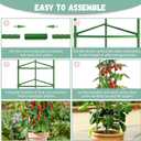 Legigo 2-Pack Tomato Cage for Garden Plant Support - Up to 48in Garden Stakes, Tomato Trellis for Potted Plants, Tomato Cages Plant Stakes for Climbing Vegetables & Flowers