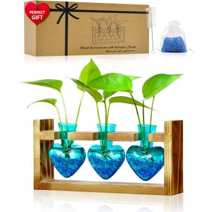 Nacome Plant Terrarium for Office Decor: Birthday Gifts for Plant Lovers Women Mom Wife - Wooden Stand Tabletop Planter 3 Bulb Glass Vase Heart Shaped for Hydroponics Indoor Home (Blue)