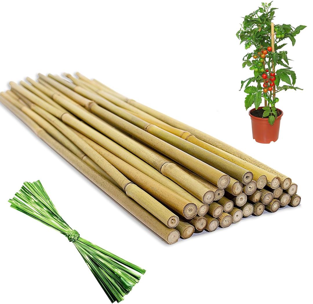 Natural Bamboo Plant Stakes (18in-30PCS)