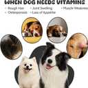 25-in-1 Dog Multivitamin Supplement, Rich in Various Vitamins, Helps Maintain Healthy Leg Joints, Skin, and Coat, Promoting Overall Health. Chicken Flavored chewable Tablets, 30 Tablets
