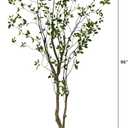 Nearly Natural 8ft Minimalist Artificial Citrus Tree, Faux Greenery for Indoor Living Room Home Decor