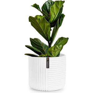 Fox & Fern Large 12 Inch Planter with Drainage Plug Premium Polystone White Plant Pot; Modern Planter with 3D Texture and Ceramic Finish; 12 Inch Pots for Plants Indoor & Outdoor