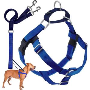 2 Hounds Design Freedom No Pull Dog Harness, Adjustable Harness and Leash Set, Easy Walking & Comfortable Control, Fits Small, Medium & Large Dogs, Solid Colors, Made in USA, 1" LG, Royal Blue