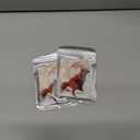 2 x Christmas Tree Decorations, Acrylic Animal Christmas Ornaments, Home Decoration, Party Decoration, Small Animals on The Moon (Moon Fox)