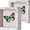 2 Packs 5x5 Shadow Box Frame with Linen Back - Sturdy Rustic Memory Display Case of Flower, Pictures, Medals and More, Distressed White
