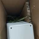 Artificial Bamboo Tree 5FT Tall Fake Plants Faux Bamboo Plant with White Tall Planter, Artificial Fake Trees Silk Plant with 3 Trunks and Lifelike Leaves for Home Office Indoor Outdoor Decor