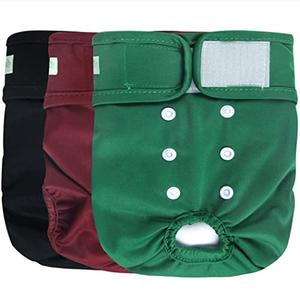 Wegreeco Washable Female Dog Diapers (Pack of 3)