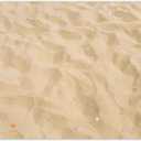 7x5ft Fabric Summer Hawaiian Beach Backdrop Luau Aloha Golden Sand Shell Tropical Seaside Photography Background Holiday Party Decorations Photo Booth Props