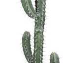 Artificial Cactus Fake Cacti 62" Faux Potted Cactus Plants for Home Store Office Decoration