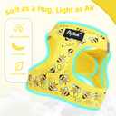PUPTECK Dog Harness and Leash Set for Small Medium Dogs No Pull Step-in Soft Mesh Puppy Cat Vest Harnesses Reflective at Night, Yellow Bee, L