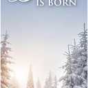 Christian Brands Christmas Banner – “Christ the Savior Is Born” Church Banner, 2' x 6'