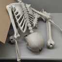 6Ft/185cm Halloween Skeleton Decoration, Large Posable Life Size Skeleton Creepy Sound, Halloween Giant Skeleton Outdoor Indoor Decor for Yard, Haunted House Props, Spooky Party