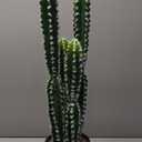 DILATATA Tall Fake Cactus Plant 27.5 inch Large Artificial Cactus Tree 'Candelabra Cactus' Faux Cactus Desert Plants Big Fake Cacti for Home Garden Office Decor (Pilosocereus Robinii)