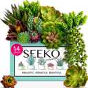SEEKO Succulents Artificial Succulent - 14pc Assorted Premium Faux Fake Succulents with Realistic Texture