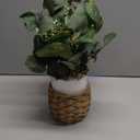 DILATATA Artificial Eucalyptus Stems in Woven Basket Planter, 11" Fake Plant Eucalyptus Leaves with White Seeds Faux Potted Plant Greenery for Table Centerpiece Office Indoor Home Decor