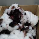 Cow Print Heating Throw Blankets Luxurious Western Soft Bubble Faux Rabbit Fur 8 Heat Settings Overheat Protection Quick Heating Electric Heated Blanket 50"x60"(Brown) (Black, Brown and White)