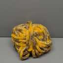 Bernat Blanket Extra Thick Cel-Este - 1 Pack of 65 Yards/21.2 oz Comet Gold 100% Polyester Yarn