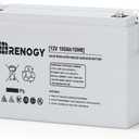 Renogy Deep Cycle AGM 12 Volt 100Ah Battery, 3% Self-Discharge Rate, 1100A Max Discharge Current, Safe Charge Appliances for RV, Camping, Cabin, Marine and Off-Grid System, Maintenance-Free
