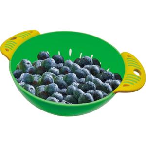 Mini Colander: Perfect for Washing Berries and Other Produce