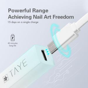 TAYE Mini Nail UV Light for Gel Nails,Portable 3W Purple Handheld Led Nail Lamp，Professional USB Nail Dryer for Curing Gel Nail Polish Nail Glue Lamp with Type C for DIY at Home Nail Salon