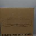 Ceiling Fans with Lights and Remote, 20" Modern Low Profile Ceiling Fan with Light, 2700K-7000K Stepless Dimming Fandelier Flush Mount Led Fan Light and 6 Wind Speeds for Bedroom(Black)