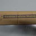 Cordless Cellular Shades