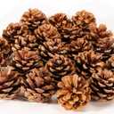 24PCS Christmas Natural Pine Cones,Rustic Pinecones with String for Crafts & Decorating Winter Xmax Holidays Vase and Table Bowl Fillers(Dia. 1.57-1.96 Inches)