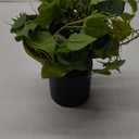 JPSOR Artificial Indoor Plants for Home Decor, 12 inches Pothos in Black Ceramic Pot with Iron Wire, 1 Count