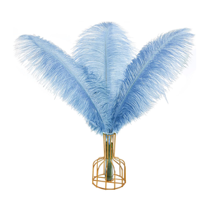 THARAHT Baby Blue Ostrich Feathers 12pcs Large Natural Bulk 12-14Inch 30cm-35cm for Wedding Party Centerpieces Halloween and Home Decoration Feathers