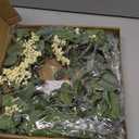 Wreaths for Front Door, 20" Artificial Eucalyptus Wreath, White Berry Greenery Wreath for Front Door Window Porch Wedding Farmhouse Garden Party Wedding Decor Spring Summer - Indoor/Outdoor