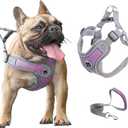 Medium Dog Harness and Leash Set,No Pull Adjustable Step in Soft Mesh Vest Harness,Easy Walk Reflective Pet Harness with Padded Handle for Walking Training Small Medium Large Dogs and Cats (Purple, M)